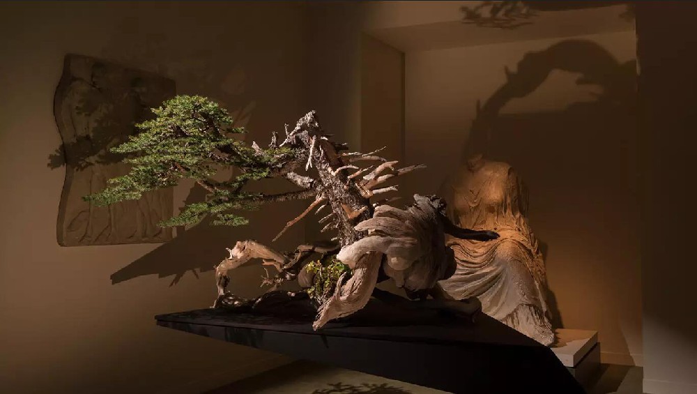 奥林匹克山脉